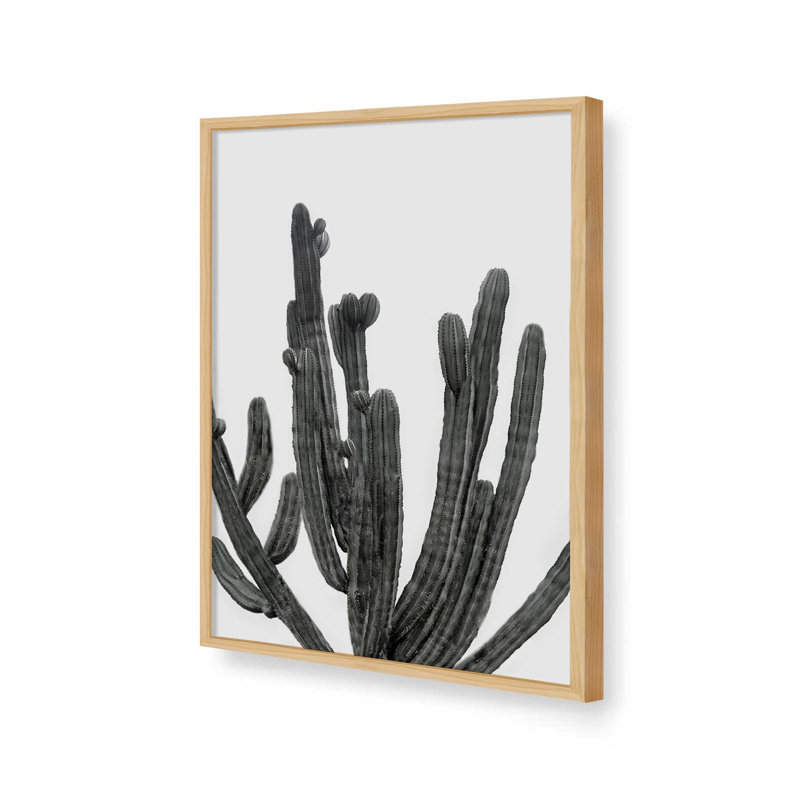 Cactus noir et blanc par Nadja, L 18 po x H 24 po, Framed Canvas, Blanc