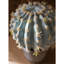 Cactus artificiel dans un pot-783575169