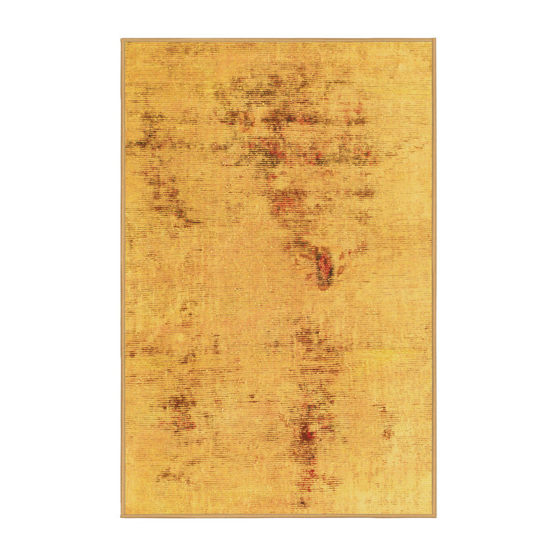 Ilakkiyen Performance Indoor Rug, Runner 2' x 5'