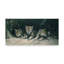 «Three Little Wolves» d'Etelca, impression sur toile tendue-27649595