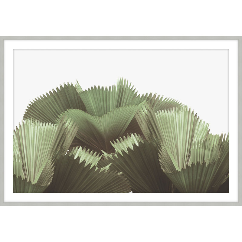 Tropical Leaves 1 Print by Studio L57 Narrative, 27.5" H x 39.5" W