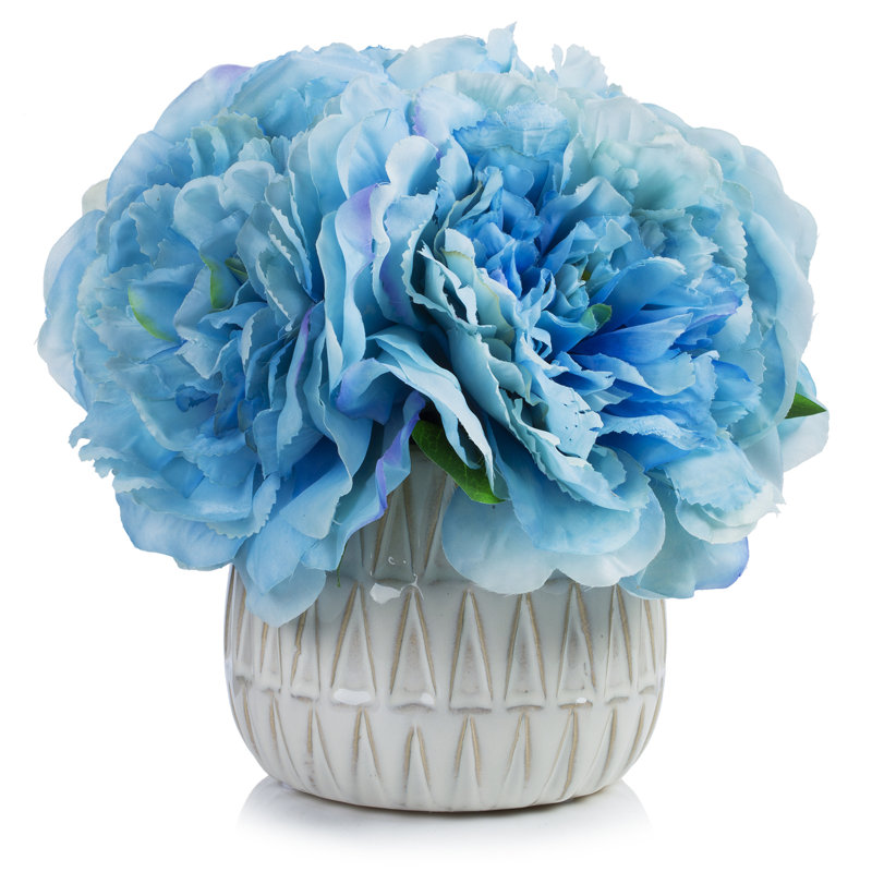 Arrangements floraux d'hortensias en pot, Bleu