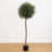 Olive Topiary Artificial Tree