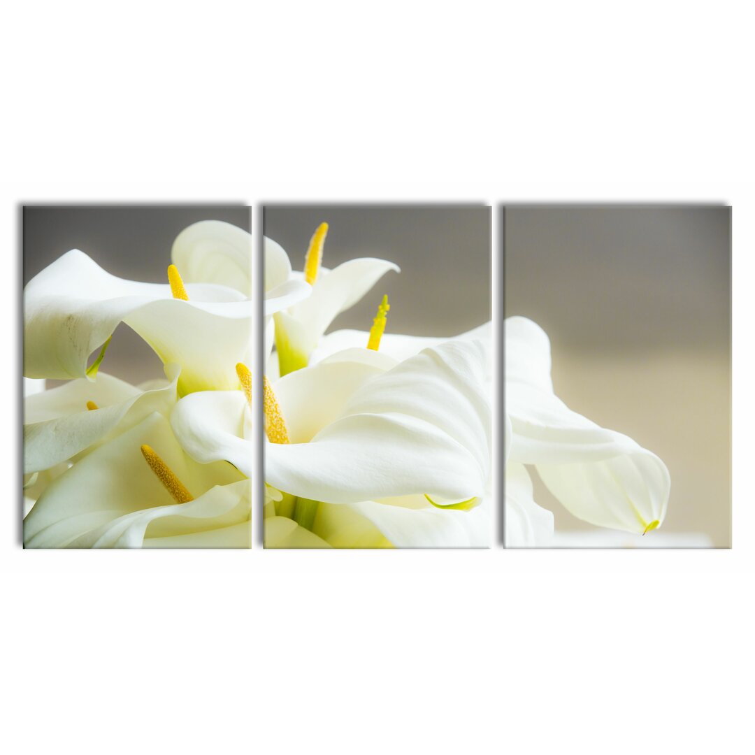 3-tlg. Leinwandbilder-Set Beautiful White Calla Lilies