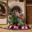  Tapis lavable en forme de figue de barbarie Southwestern-1336392568