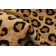 Testerman Animal Print Indoor Rug