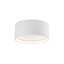 Trenton LED Outdoor Flush Mount-64113109