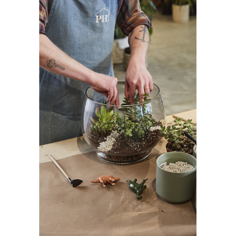 Discovery Terrarium, 8" H x 10" W x 10" D