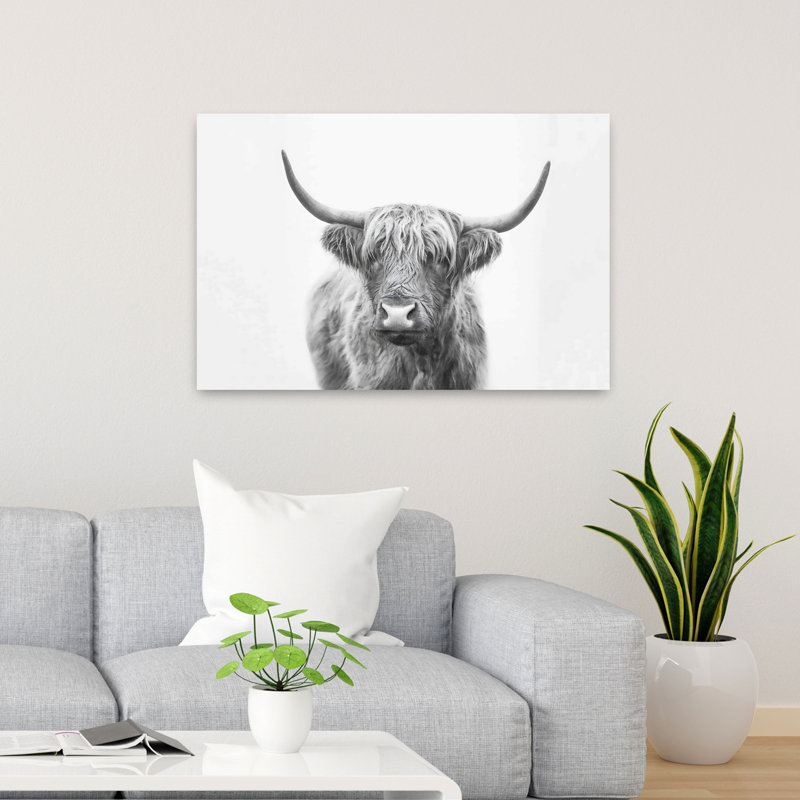 Art mural abstrait contemporain Highland Bull, H 24 po x l 36 po