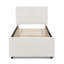 Lit simple Hund Trundle-130076202-130076204