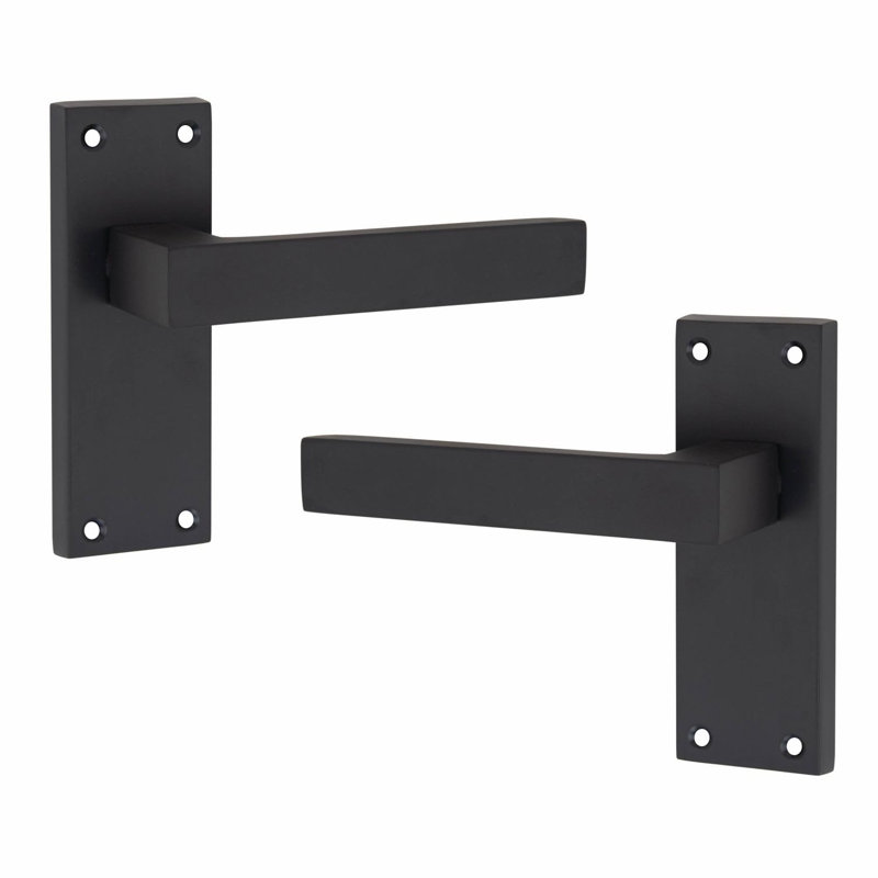 Latch Handle with Backplate
