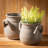 Valdes Lavender Arrangement in Pot