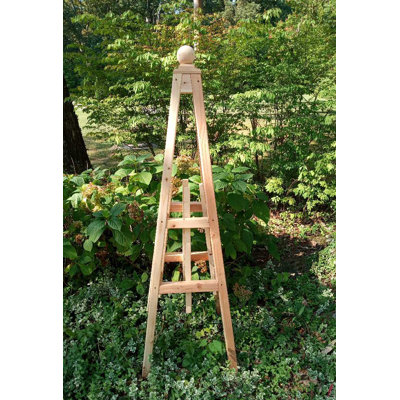 Terrianne 72 in. H x 24 in. W Obelisk Trellis