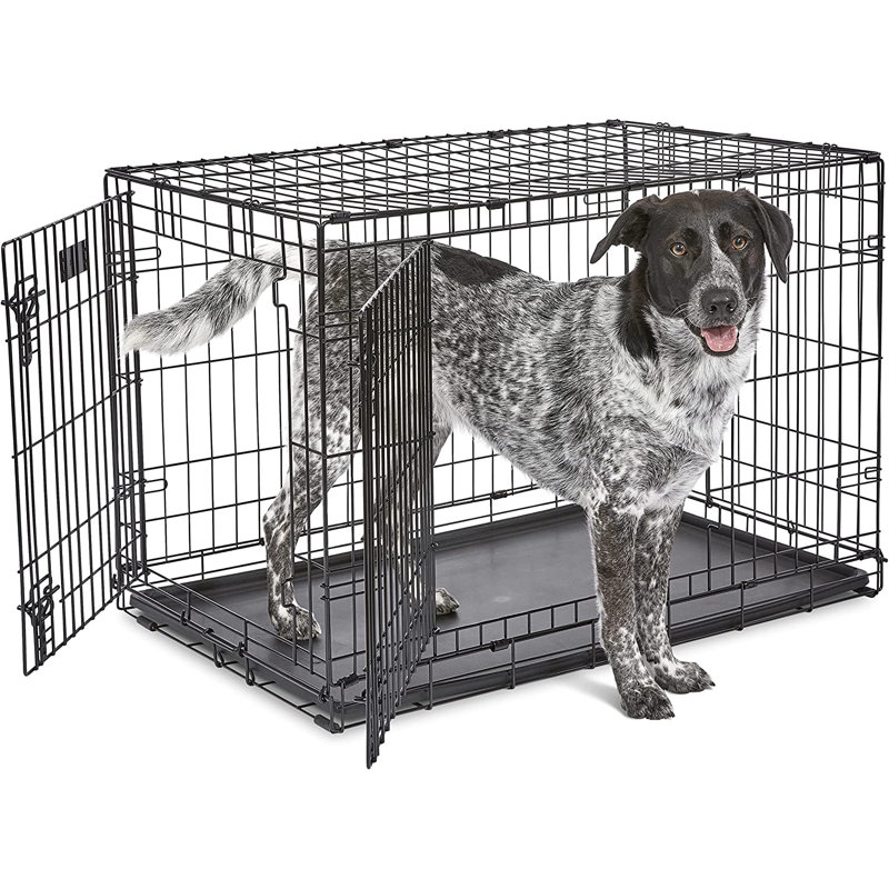 Cage pour chien Icrate