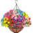 Multi-couleur est en rupture de stock