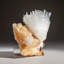 Scolecite on Stilbite du Nasik District, Maharashtra, Inde (269,4 grammes)
