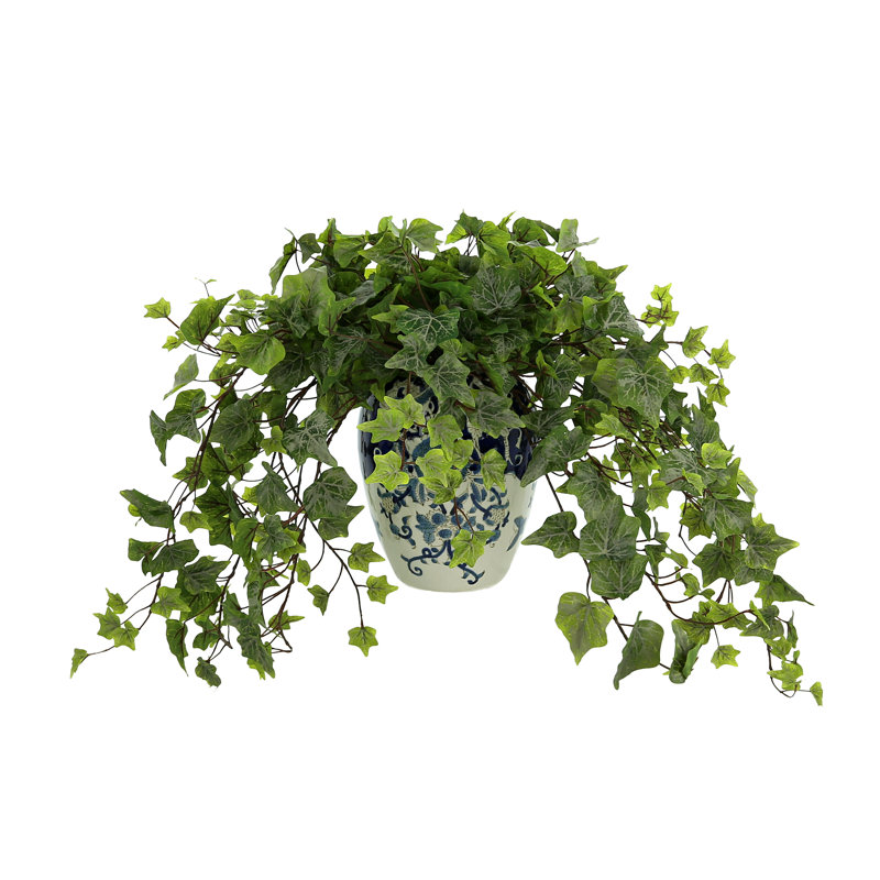 Rio Faux Ivy Plant in Ceramic Decorative Vase
