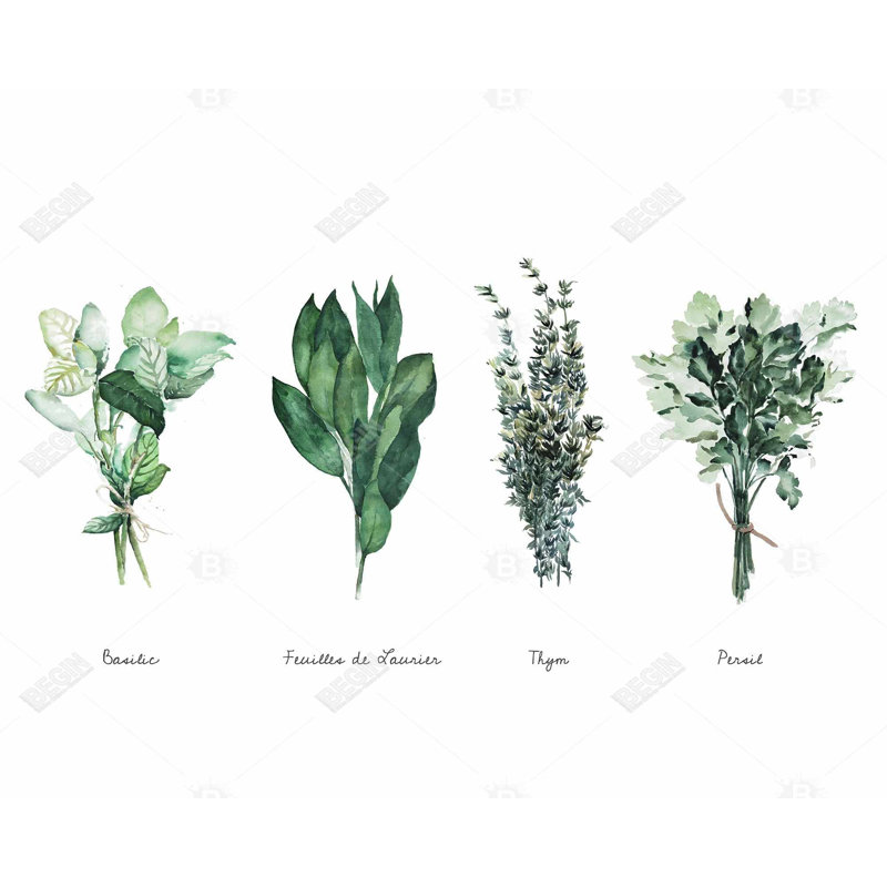 Fines herbes - Toile botanique verte pour la décoration intérieure