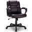 Aaleigha Executive Chair
