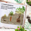 Lit de jardin surélevé 4 pi Paddyjoe-787651868