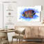 Aquarelle, poisson-ange royal-975191320