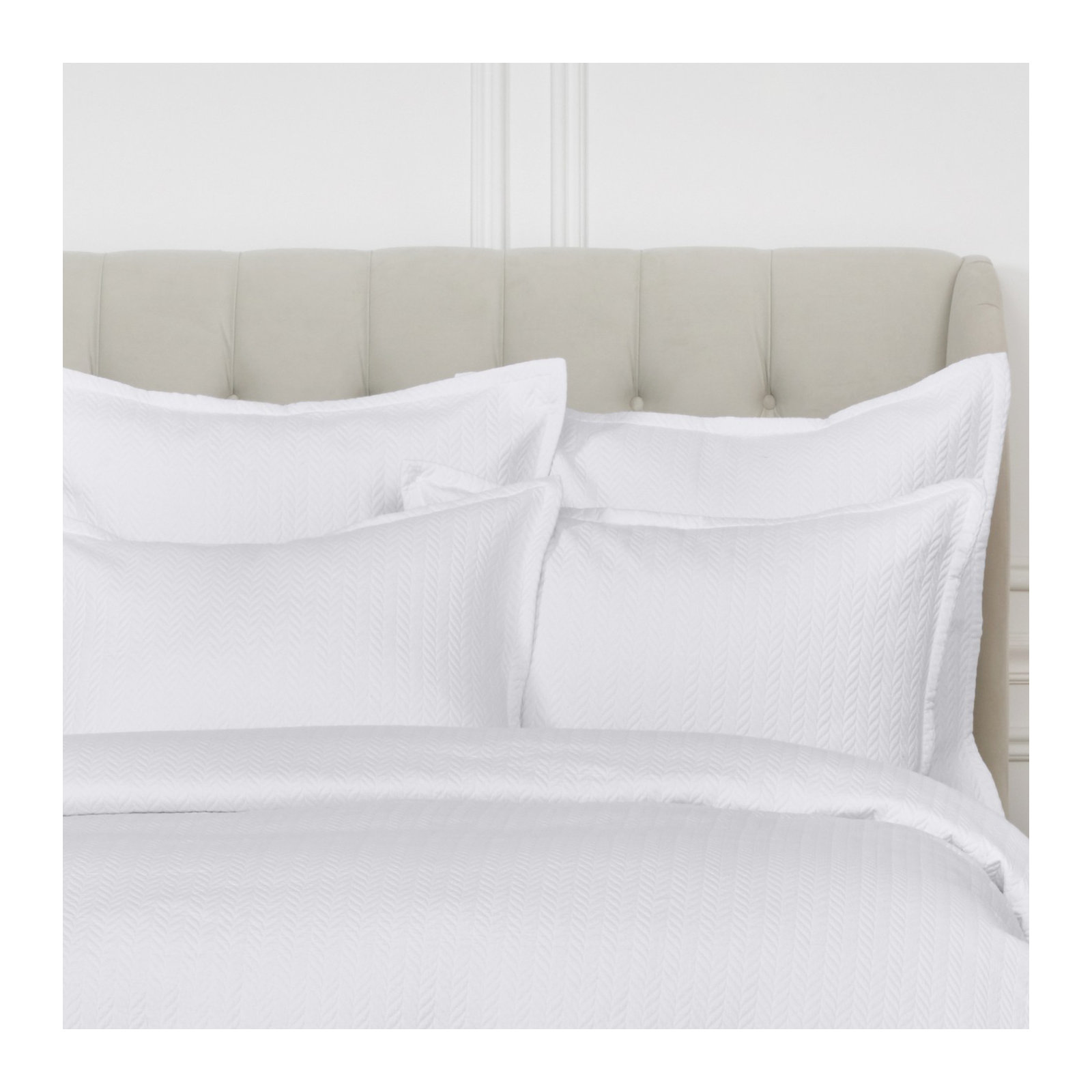 Verbeia 100% Cotton Ties Sham, Standard