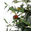 Faux Plant-1975661175