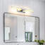 Craciun Stainless Steel Swing Arm Sconce
