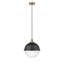Luminaire suspendu simple à 1 lumière Laklyn-957710498-957710491-957710499