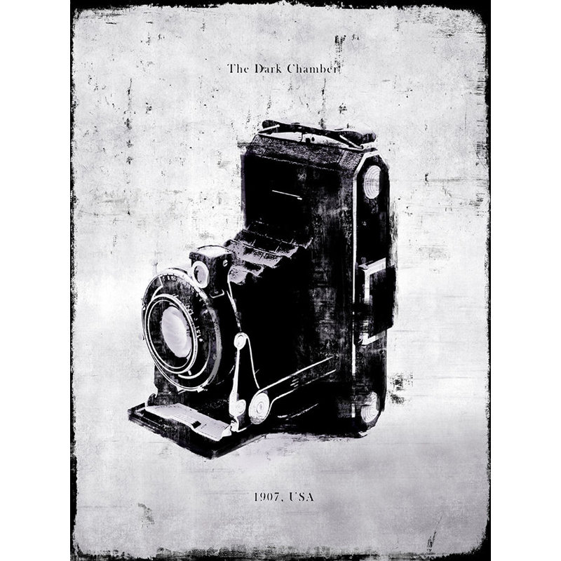 Land Camera Print, Outdoor, 40" H x 30" W x 1.5" D