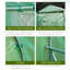 Walton Polytunnel Greenhouse with Windows and Door for Garden-26700086