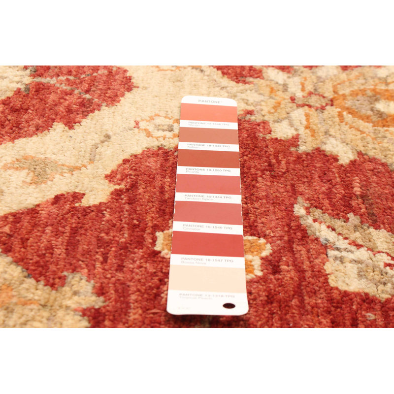 Tapis rouge 3 pi 2 po x 5 pi 3 po Finha Peshawar Ziegler