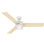 54" Exeter 3 - Blade Standard Ceiling Fan with Remote Control and Light Kit Included