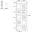6-Tier Narrow Corner Bookshelf, 90-Degree Corner Storage Shelf for Living Room Office Bedroom