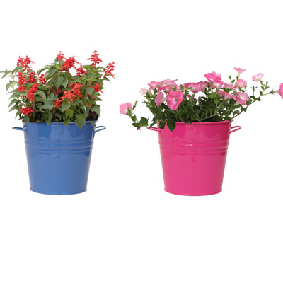 Maynard Metal Pot Planter