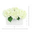 Hydrangeas in Pleated Ceramic Vase