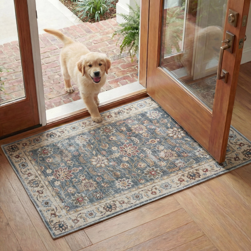 Arizona Performance Machine Washable Oriental Rug, Rectangle 2'3" x 4'