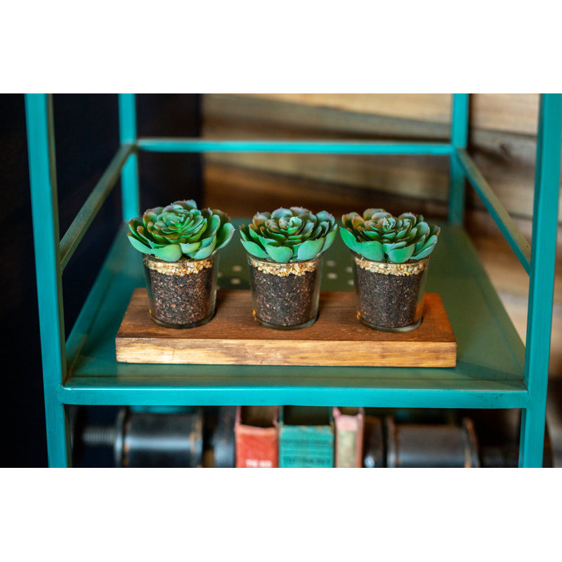5'' Faux Succulent Plant in Glass Pot