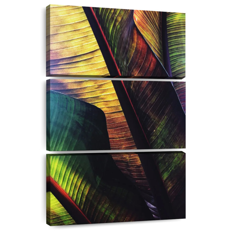 Feuilles de palmier Harnek Vibrant, H 57 po x l 36 po