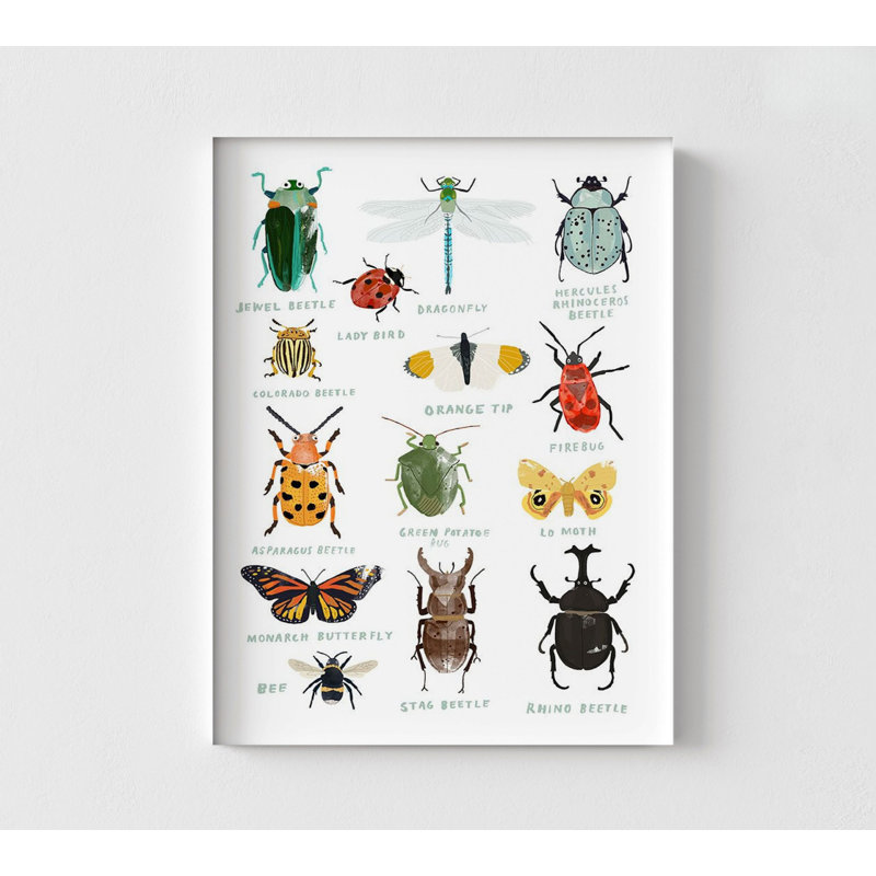 «Bugs» par Hanna Melin, décor de bureau d'entomologiste, affiche de coccinelle, affiche de chambre d'enfant mignonne, affiche de libellule