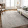 Don Oriental Machine Woven Polyester Area Rug in Gray/Slate