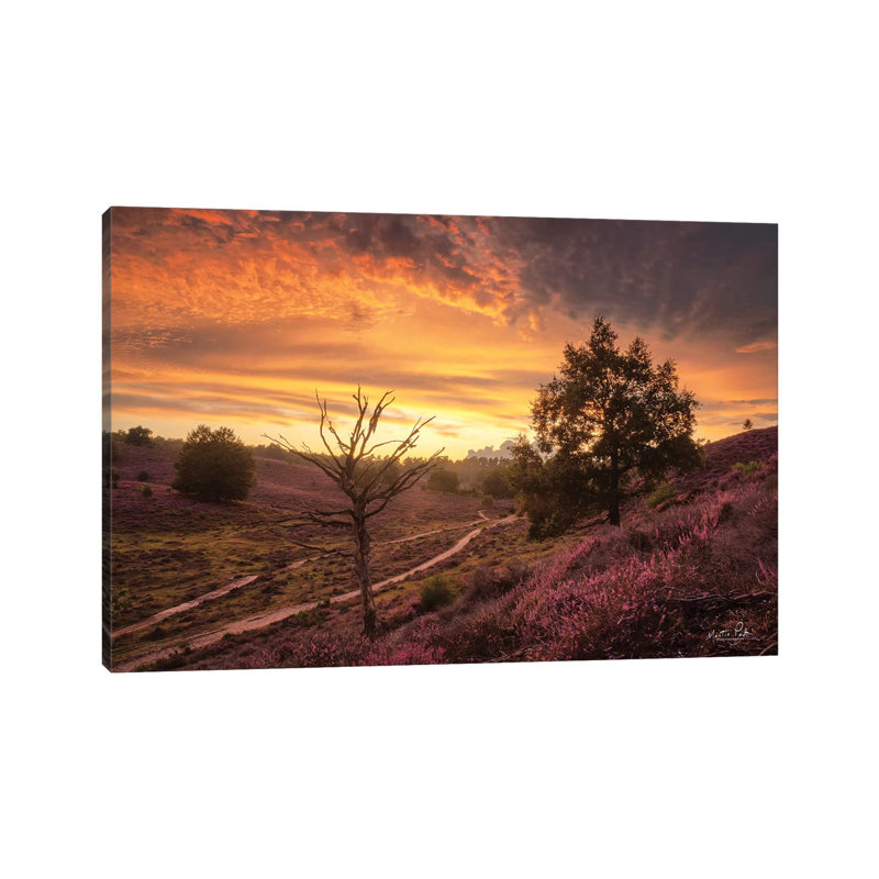 Dead Tree At Sunset by Martin Podt - Wrapped Canvas Gallery-Wrapped Canvas Giclée, 101.6 cm H x 66.04 cm W x 1.91 cm D