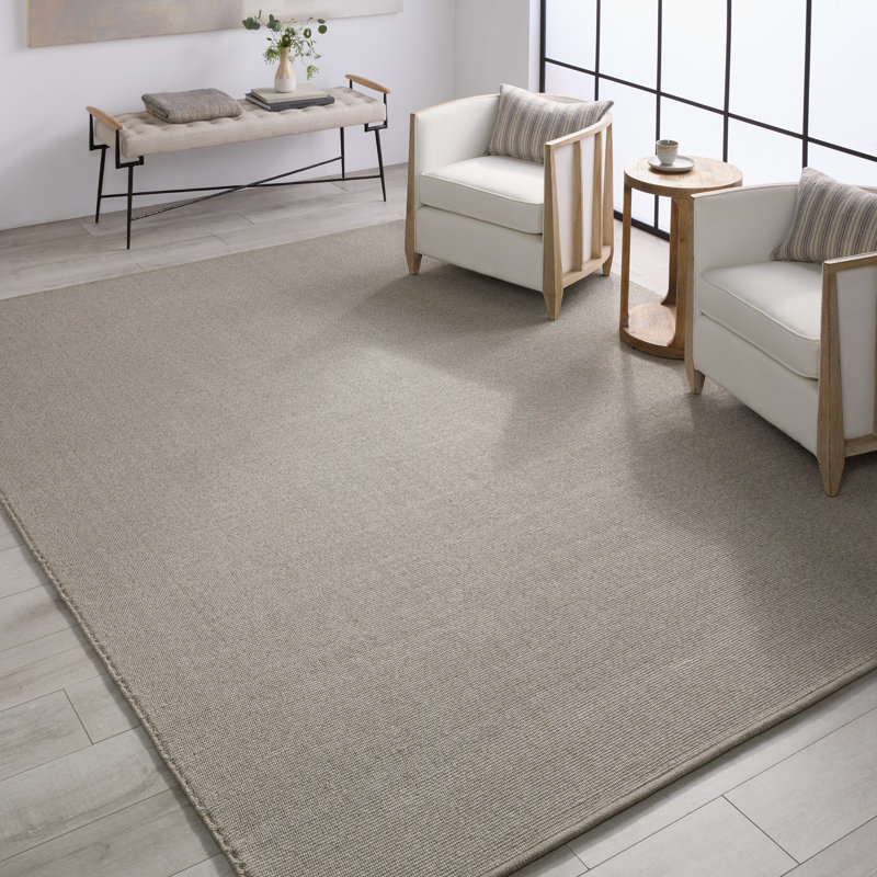Caellan Indoor / Outdoor Rug, Rectangle 2' x 3'