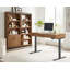 Bibliothèque moderne à portes inférieures en bois, bibliothèque de bureau, étagères de bureau, rangement de bureau, entièrement assemblée, brun moyen riche