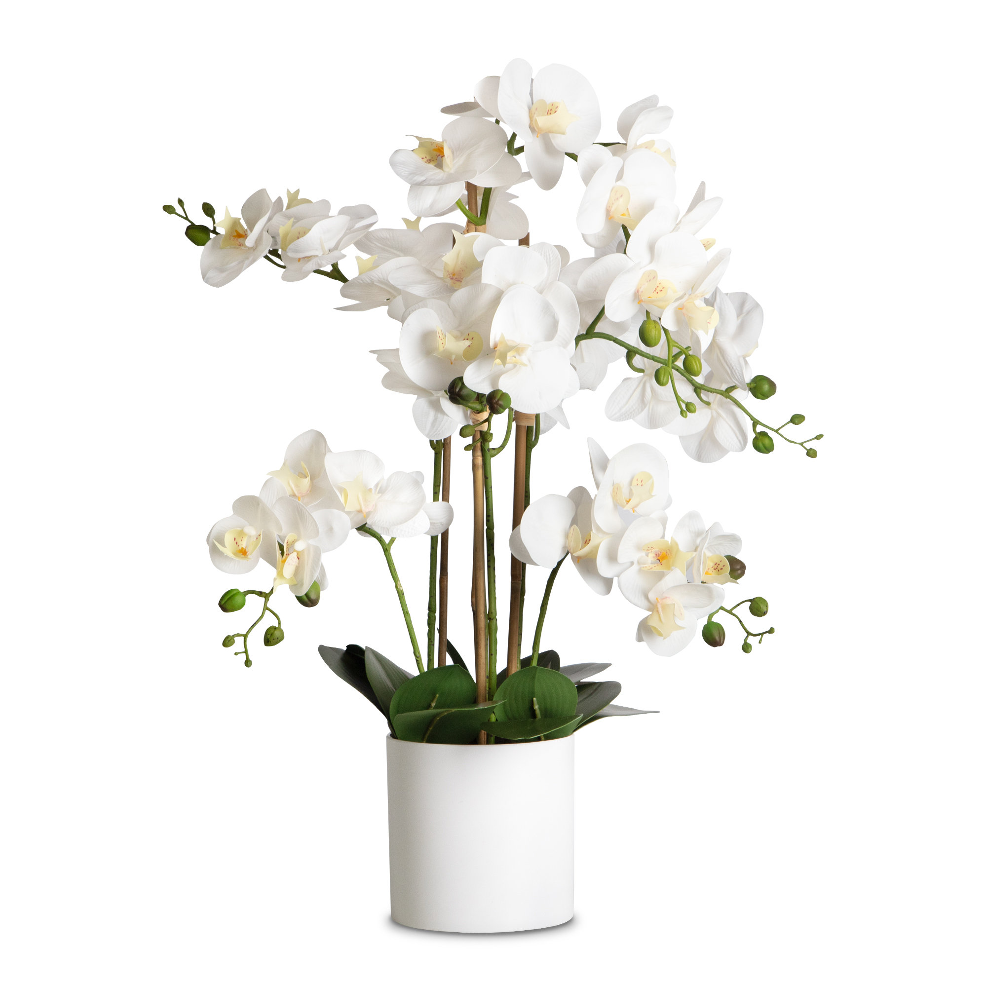 Primrue Silk Orchid Arrangement In Pot - Wayfair Canada