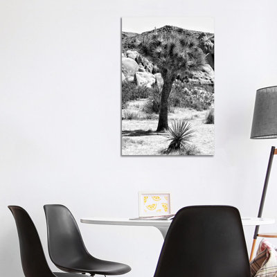 Joshua Tree In The Desert by Philippe Hugonnard - Wrapped Canvas Print