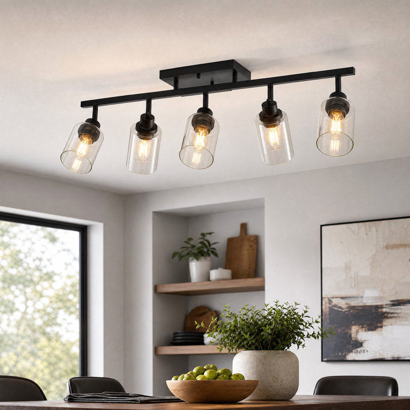 35" 5-Light Black Fixed Track Lighting Kit With Adjustable Heads And Glass Shades, 5 Lights