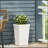 MGO PLANTER