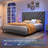 Bed Frame With 51"High Velvet Upholstered  Wingback Headboard, Platform Bed With Charging Station And Led Lights-655026587-655026585