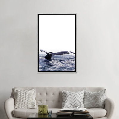 " Whale Song I Iceland " by Monika Strigel